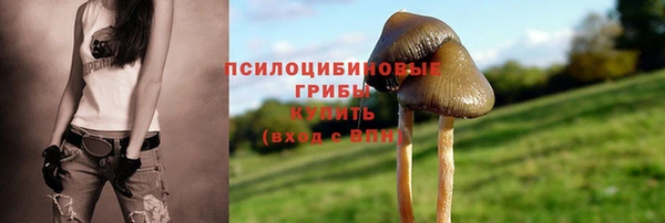 ешки Нягань