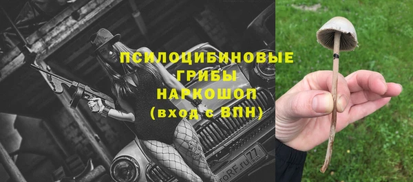ешки Нягань