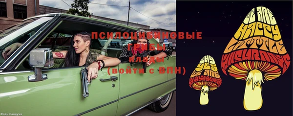 не бодяженный Нязепетровск