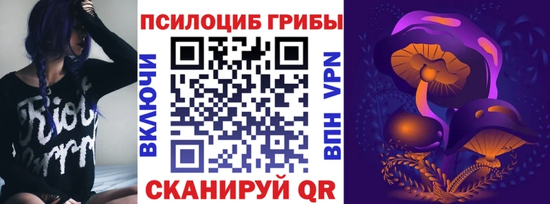 omg зеркало  Сортавала  Галлюциногенные грибы прущие грибы 
